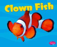 Clown Fish