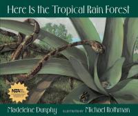 Here is the Tropical Rain Forest