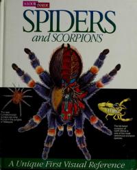 A Look Inside Spiders and Scorpions