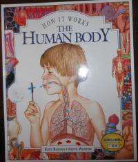 The Human Body