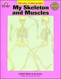 My Skeleton and Muscles