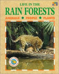 Life in the Rain Forests