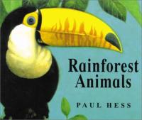 Rainforest Animals