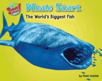 Whale Shark The World's Biggest Fish