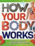 How Your Body Works