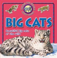 Big Cats