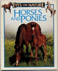 Horses and Ponies