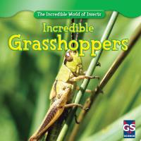 Incredible Grasshoppers