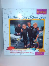 Houghton Mifflin Reading: The Nation's Choice Little Big Book Grade K Theme 2 - In the Big Blue Sea