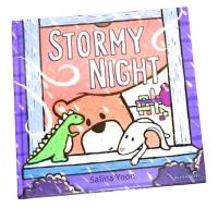 Stormy Night