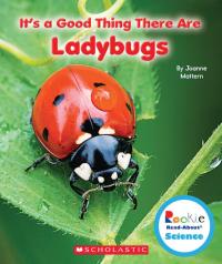 It's a Good Thing There are Ladybugs