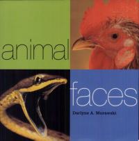 Animal Faces