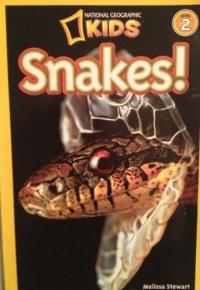 Snakes!