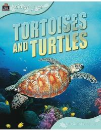 Tortoises and Turtles