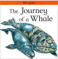 Journey of a Whale