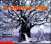A Snowy Day