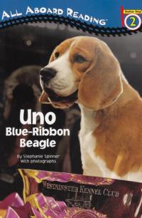 Uno Blue-Ribbon Beagle