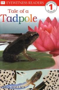 Tale of a Tadpole