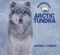 Arctic Tundra