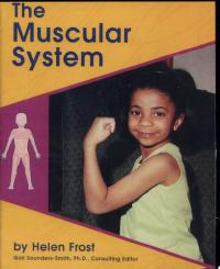 The Muscular System