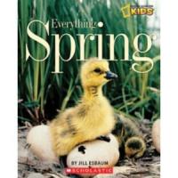Everything Spring