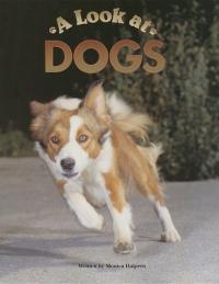 A Look at Dogs