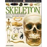 Skeleton