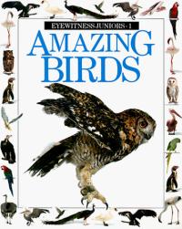 Amazing Birds
