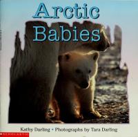 Arctic Babies