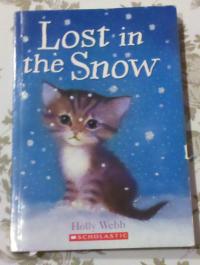 Lost in the Snow
