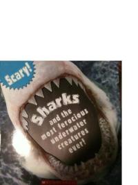 Sharks And the Most Ferocious Underwater Creatures Ever!