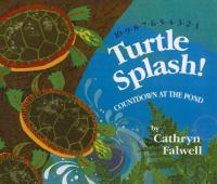 Turtle Splash!