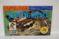 Jumping Spider