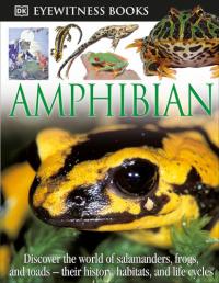 DK Eyewitness Books: Amphibian Discover the World of Frogs, Toads, Newts, and Salamanders—their Habitats, and L