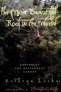 The Most Beautiful Roof in the World Exploring the Rainforest Canopy