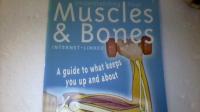 Understanding Your Muscles & Bones