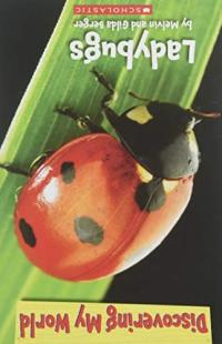 Ladybugs