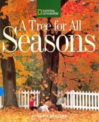 A Tree for All Seasons