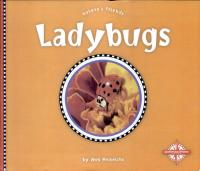 Ladybugs