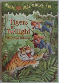 Tigers at Twilight
