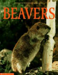 Beavers