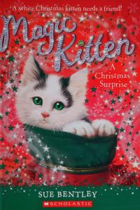 A Christmas Surprise