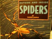 Outside and Inside Spiders