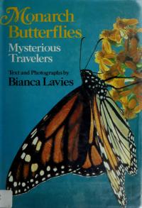 Monarch Butterflies Mysterious Travelers