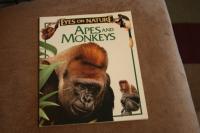 Apes and Monkeys