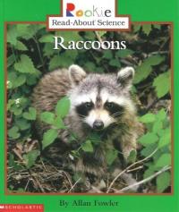 Raccoons