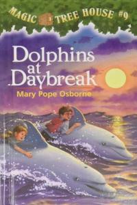 Dolphins at Daybreak