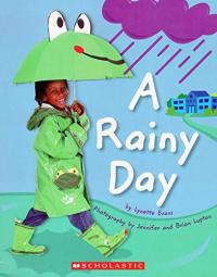 A Rainy Day Book Room