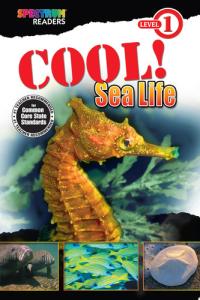 Cool! Sea Life Level 1