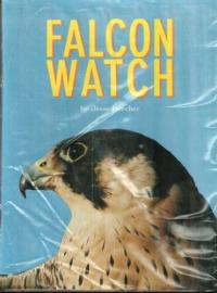 Falcon Watch
